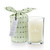 Pomander Pine Bundled Glass Illume Candle