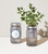 Mint Garden Jar - Indoor Garden Kit by Modern Sprout