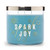 14.5 Oz. Spark Joy Candle - Inspire Collection by Colonial Candle