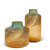 Set of 2 Fern Glass Vase by Gerson Company