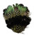 Green & Yellow Speckled Feather Accessory (Headband)