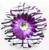 Purple Zebra Flower Clip