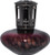 Black Amethyst Gold Saucer Fragrance Lamp by Isabella