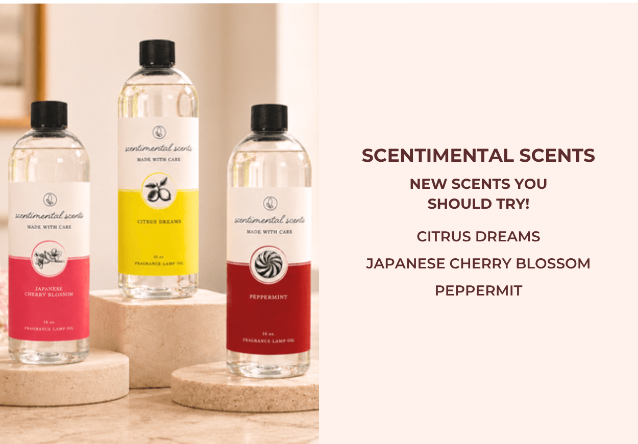 Scentimental Scnets 16oz. Fragrance Lamp Oils