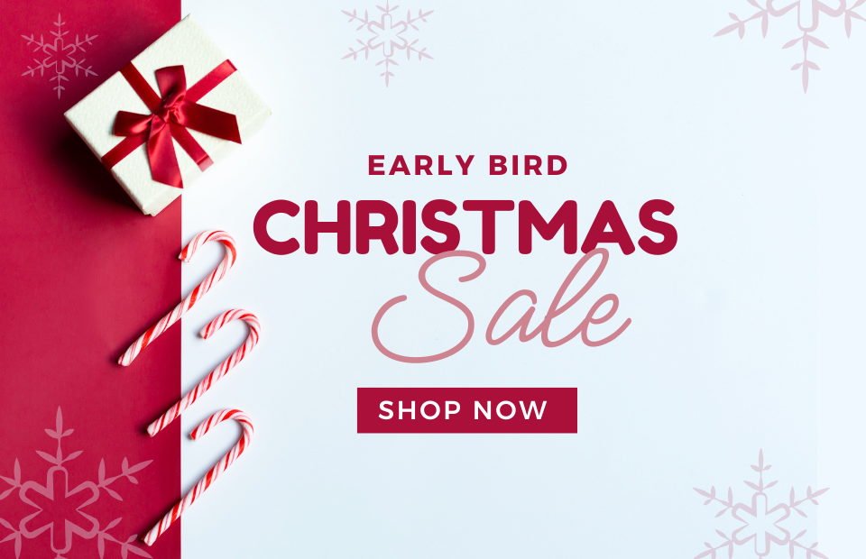 Early Bird Christmas Sale