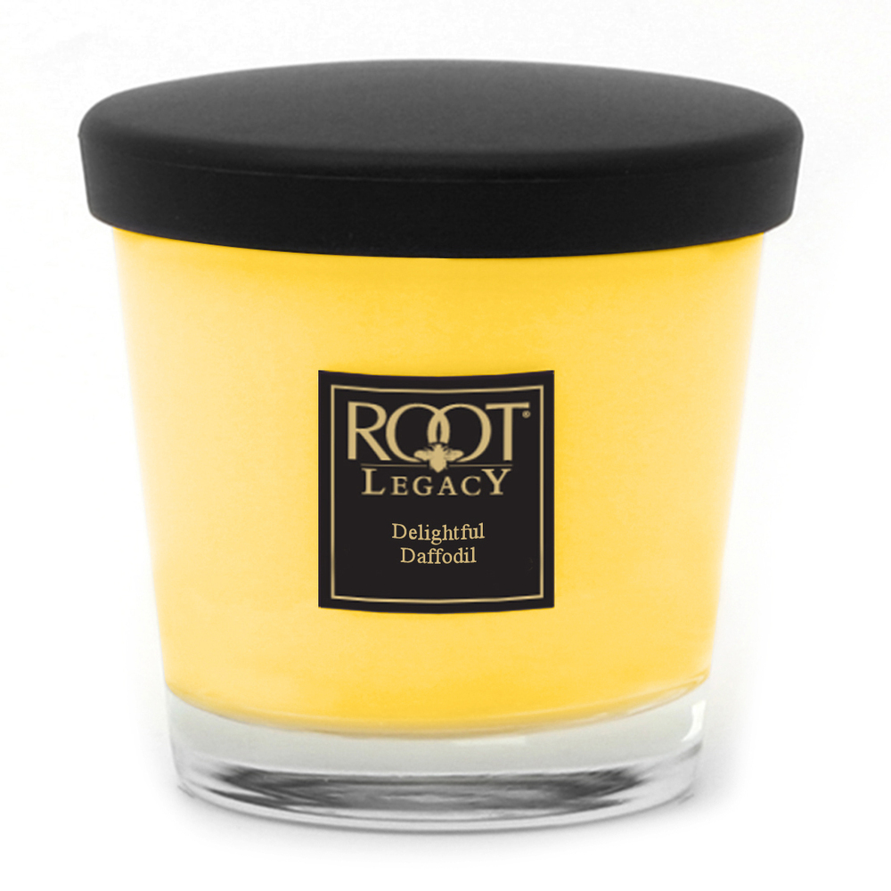 Root Candles Delightful Daffodil Small Veriglass Candle by RootThe