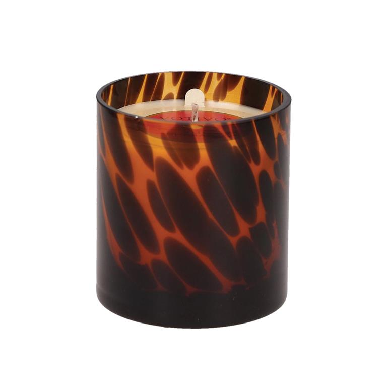 Votivo Candles Red Currant Timeless Tortoise 10.2 oz. Candle Votivo