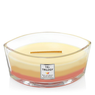 Tropical Sunrise WoodWick Trilogy 16 oz. Flame - The Lamp Stand