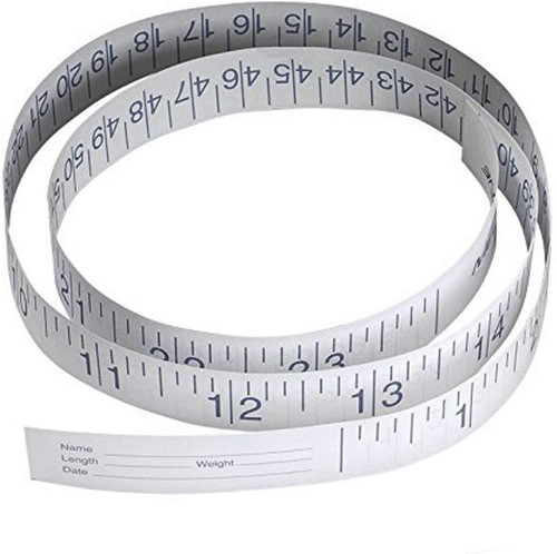 24 Inch Paper tape measure with blue markings, 1000/Case