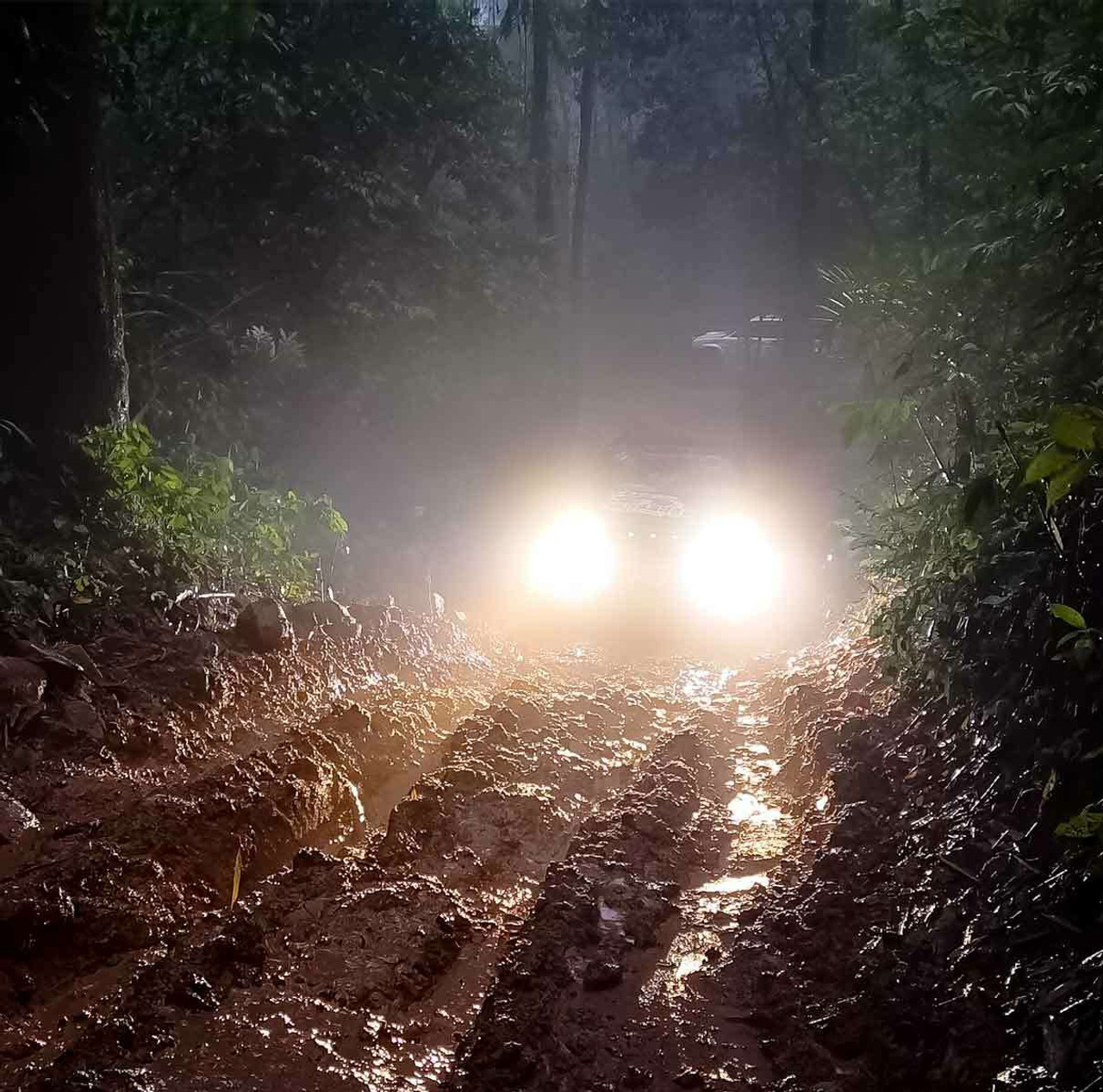 LED Off Road Lighting: Shop Bright and Durable LED Lights