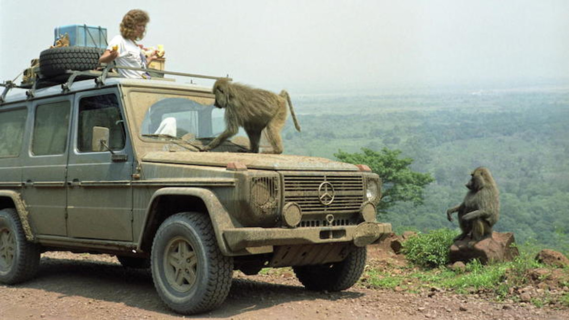 Couple’s Extraordinary 550,000-Mile Road Trip Across 177 Countries Over 26 Years