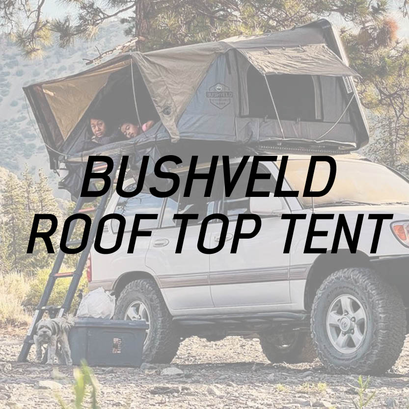 bushveld-thumbnail.jpg