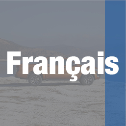 ford-banners-and-buttons-revised-english10.jpg