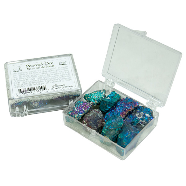 Boxed Crystals Display - Peacock Ore (48/display) | Nature’s Expression ...