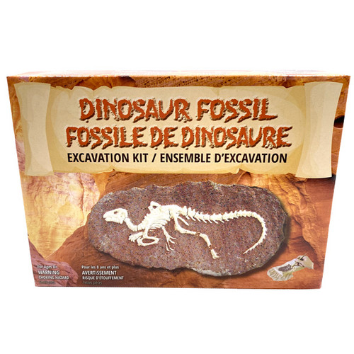 Dig-it-out Kit - Dinosaur Fossil in Clay (8)