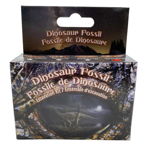 Dig-it-out Mini Kit - Dinosaur Fossil in Clay (8)