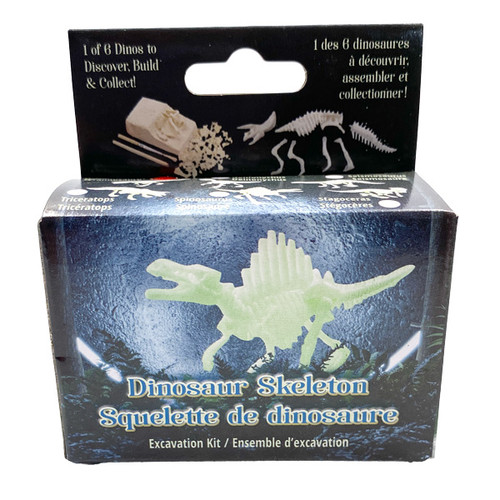 Dig-it-out Mini Kit - Dinosaur Skeleton (12)