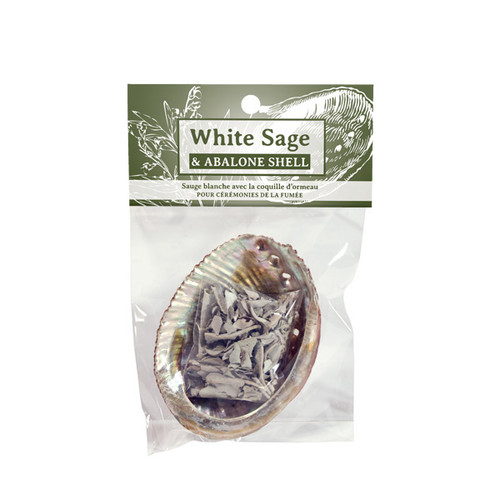 White Sage and Abalone Shell Set (12)