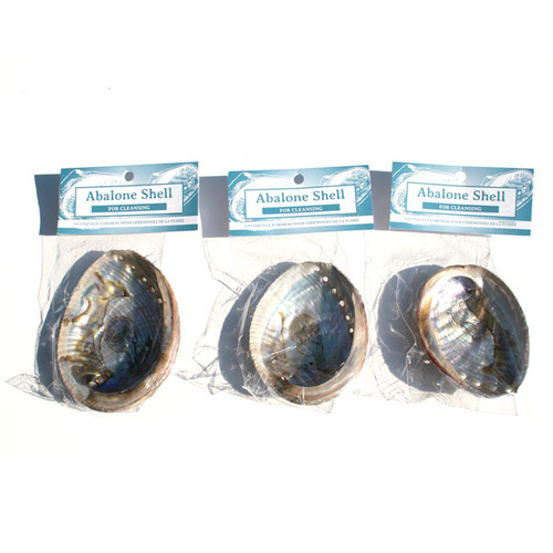 Abalone Shell - Natural Medium (Packaged) Abalone Shell - Natural Medium (Packaged)