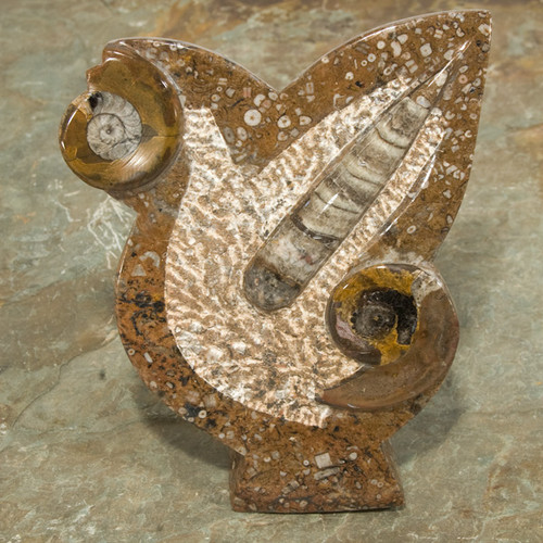 Marine Fossil Stand-up Decorator