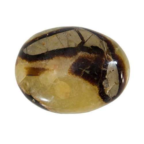 Palm Stone - Septarian