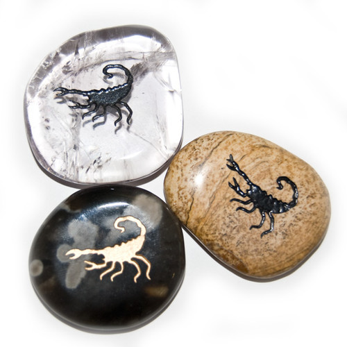 Totem Stone - Scorpion (12) Totem Stone - Scorpion (12)