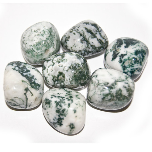 Tumbled Stone - Tree Agate (1 lb)