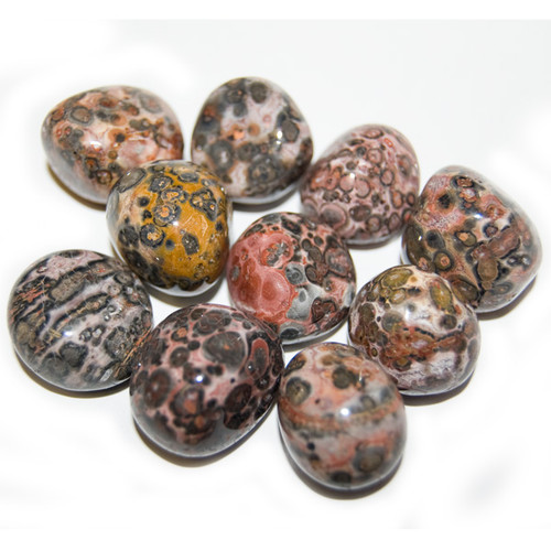 Tumbled Stone - Leopardskin Jasper (1 lb)