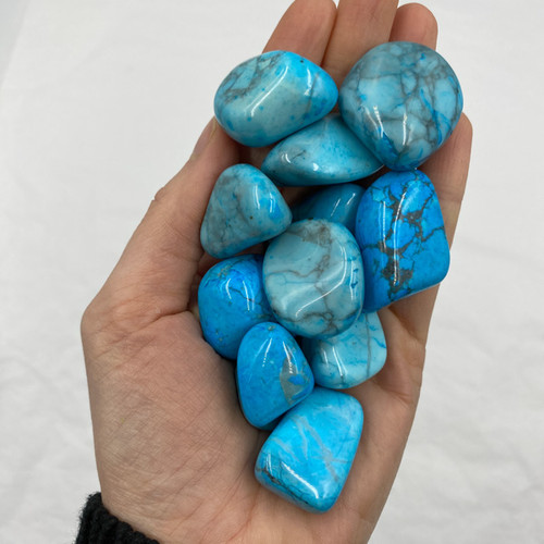 BACKORDER - Tumbled Stone - Turquoise Howlite (1 lb)