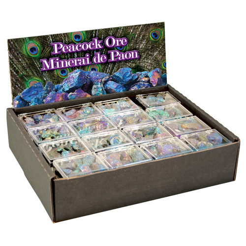 Boxed Crystals Display - Peacock Ore (48/display) Boxed Crystals Display - Peacock Ore (48/display)