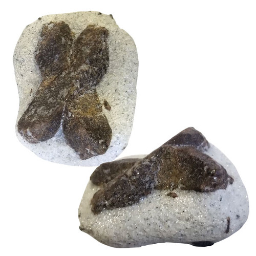 Staurolite Specimen