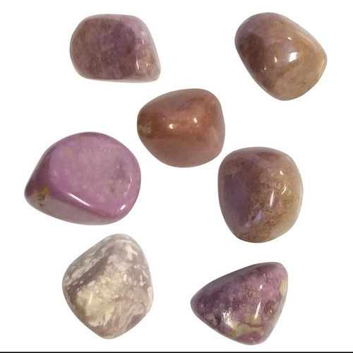 Tumbled Stone - Phosphosiderite (1 lb)