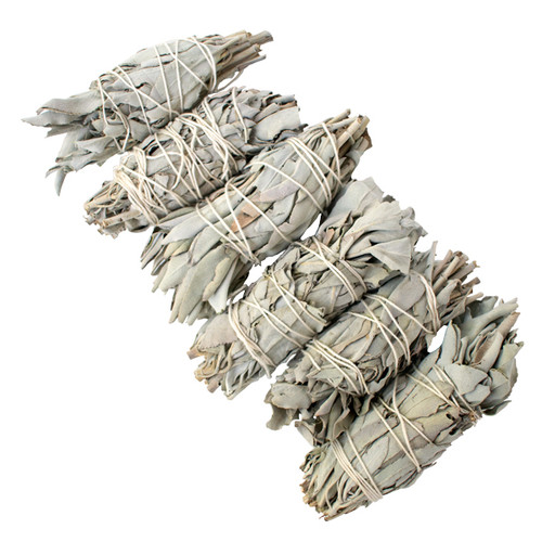 White Sage Stick - Small/Medium - Bulk Unpackaged (24)