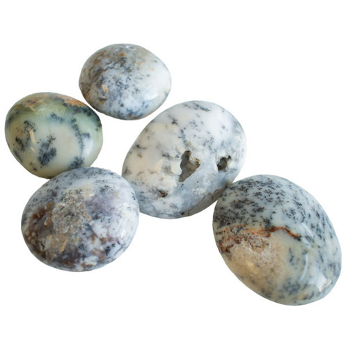 Palm Stone - White Dendritic Agate