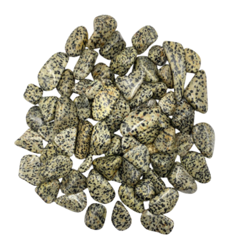 Tumbled Stone - Dalmatian Stone (1 lb)