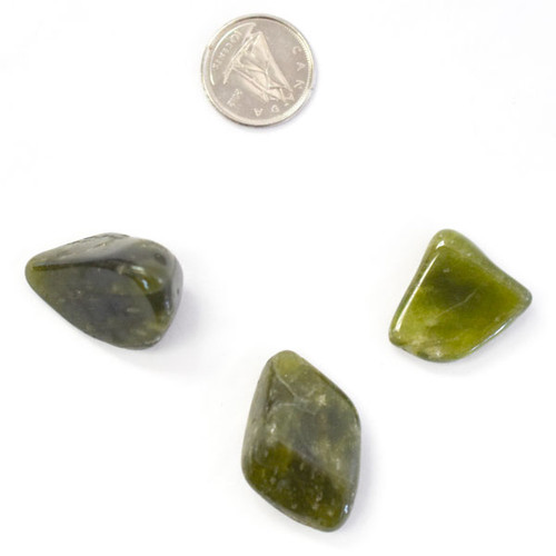 BACKORDER - Tumbled Stone - Idocrase  (20 g)