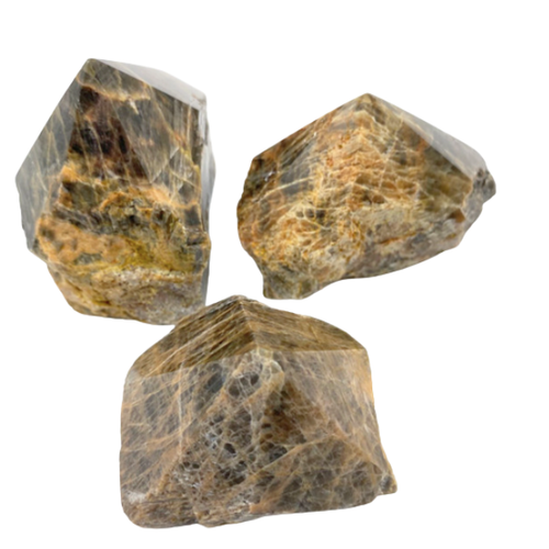 Cut Base Top Polish Points - Black Moonstone