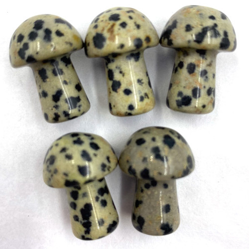 Carved Pocket Stone Mushrooms - Dalmation Jasper (5) Carved Pocket Stone Mushrooms - Dalmation Jasper (5)