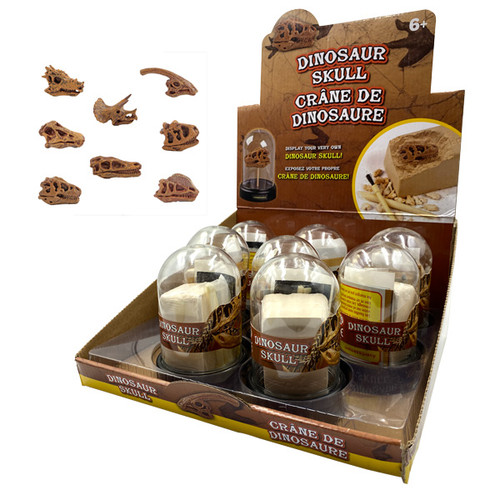 Dig-it-out Kit - Dinosaur Skull Display (8/display) Dig-it-out Kit - Dinosaur Skull Display (8/display)