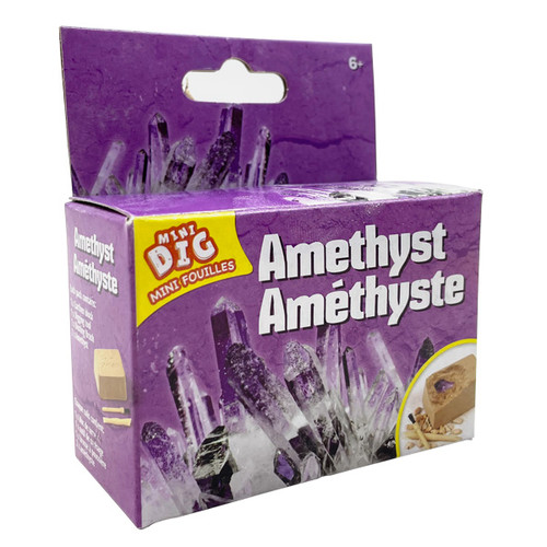 Dig-it-out Kit - Amethyst Cluster (6)
