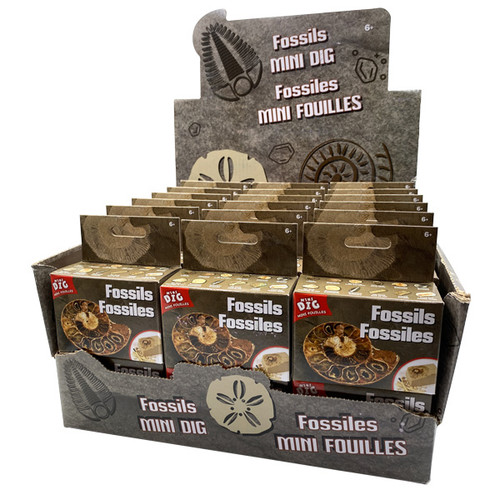 Dig-it-out Kit - Authentic Fossil Display (36/display)