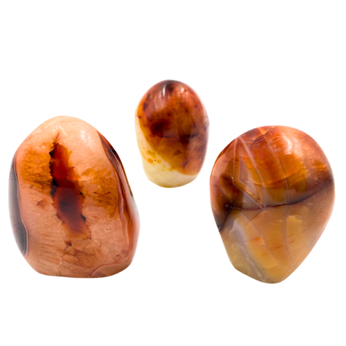 Free-form Polished Sculptures - Carnelian
