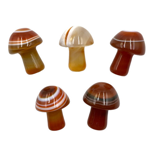 Carved Pocket Stone Mushrooms - Carnelian (5)