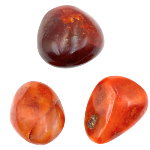 Palm Stone - Carnelian S/M