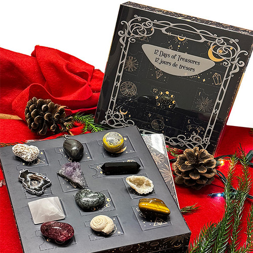 Advent Calendar - Fossil Frost, Mushroom & Frog Casing - 12 Pocket  Advent Calendar - Fossil Frost, Mushroom & Frog Casing - 12 Pocket