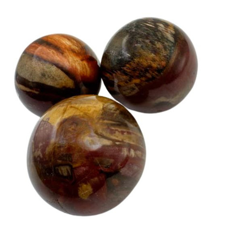 Petrified Wood Sphere ~ 2.5 - 3"