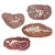 Dig-it-out Mini Kit - Dinosaur Fossil in Clay (8)