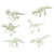 Dig-it-out Mini Kit - Dinosaur Skeleton (12) Dig-it-out Mini Kit - Dinosaur Skeleton (12)