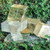 Optical Calcite - Yellow (Large)