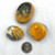 Bumble Bee Jasper Polished Specimens